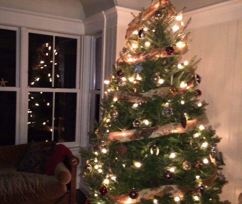 December 10 Christmas Tree up at the Jones home!!