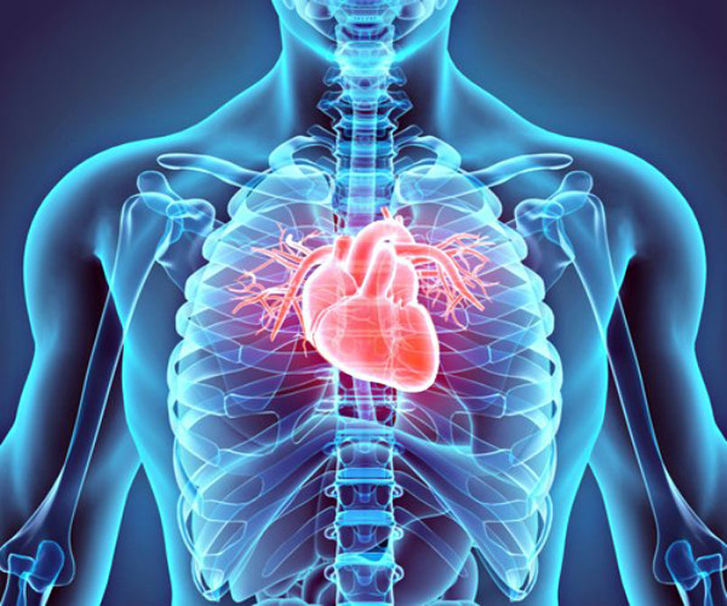 Hair Loss, Gray Hair, and Heart Disease